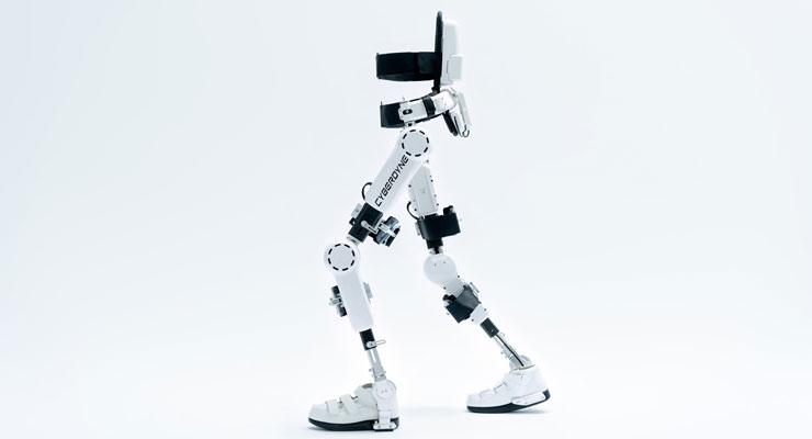 The Human Exoskeleton